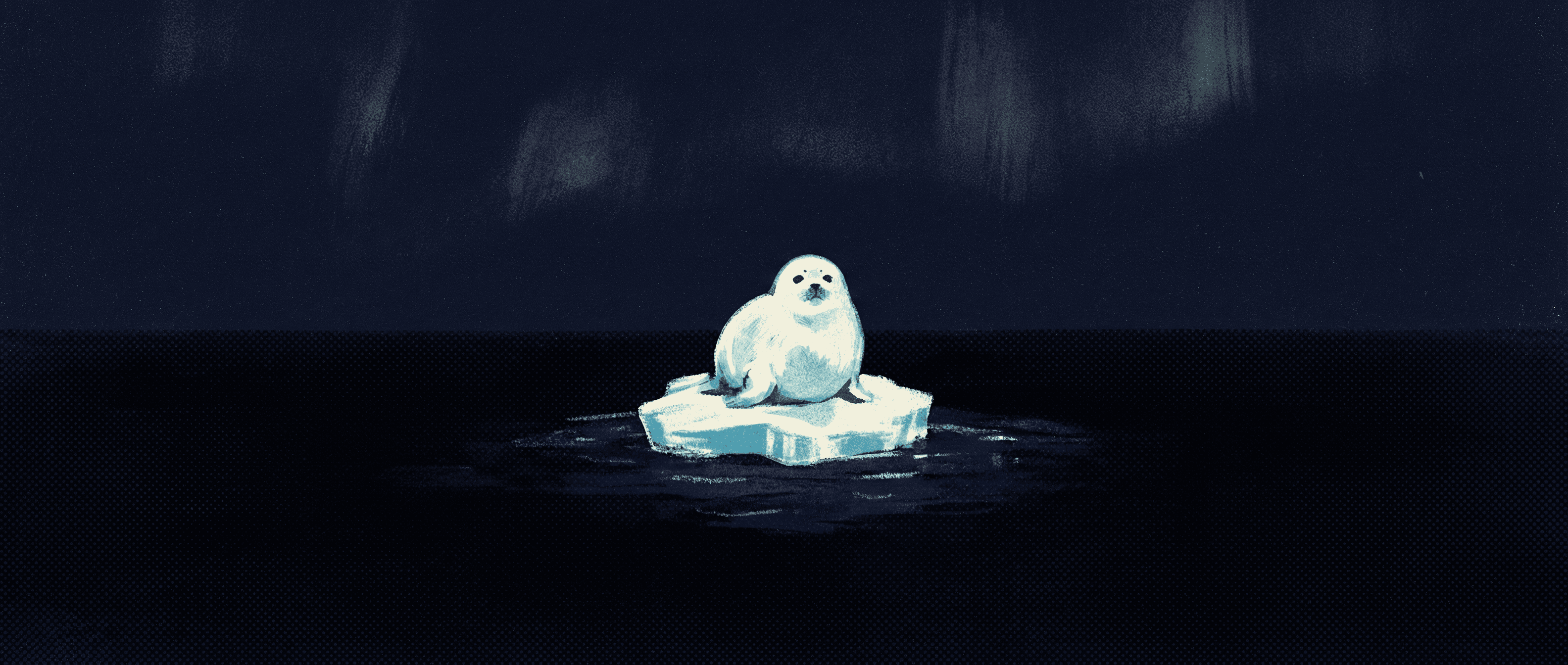 Seal on ice floe
